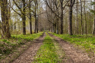 boş çakıl yol Güz