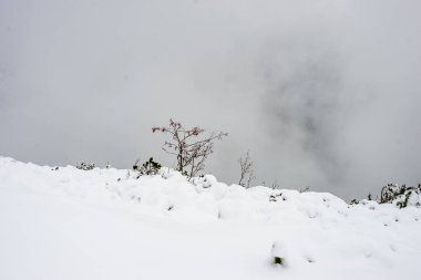turistik rotalar Slovakya tatra Dağları'nda kar kaplı