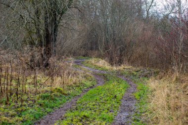 boş çakıl yol Güz