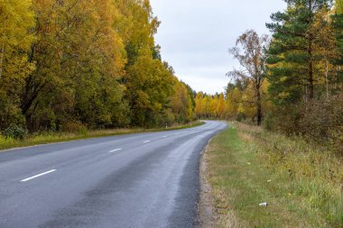 Sonbaharda boş asfalt yolu