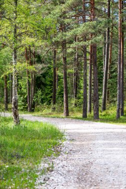 boş çakıl yol Güz
