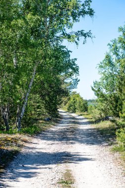 boş çakıl yol Güz