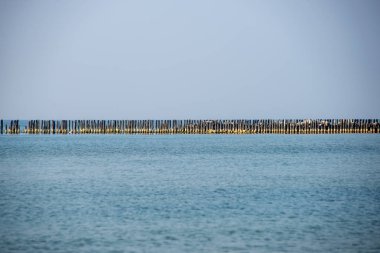 Sakin deniz plaj yaz büyük kayalar ve ahşap direklerin 