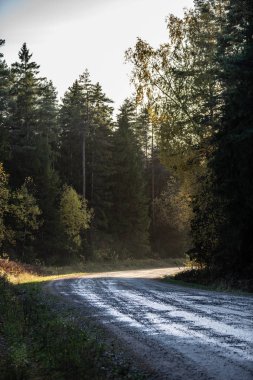 boş çakıl yol Güz