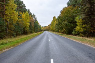 Sonbaharda boş asfalt yolu