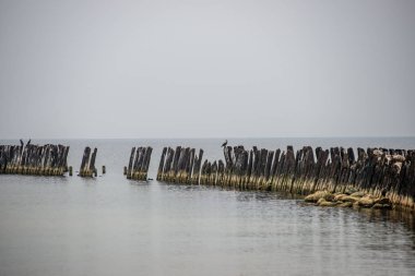 Sakin deniz plaj yaz büyük kayalar ve ahşap direklerin 