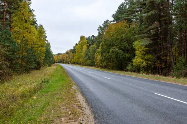 Пустая асфальтовая дорога осенью — стоковое фото