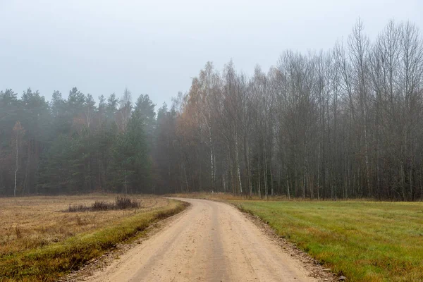 Route de gravier vide en automne — Photo