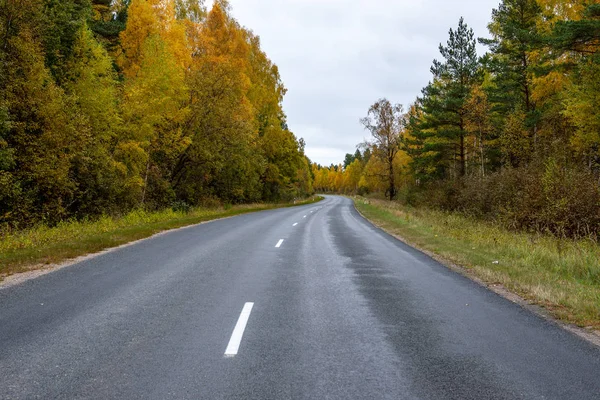 Sonbaharda boş asfalt yolu