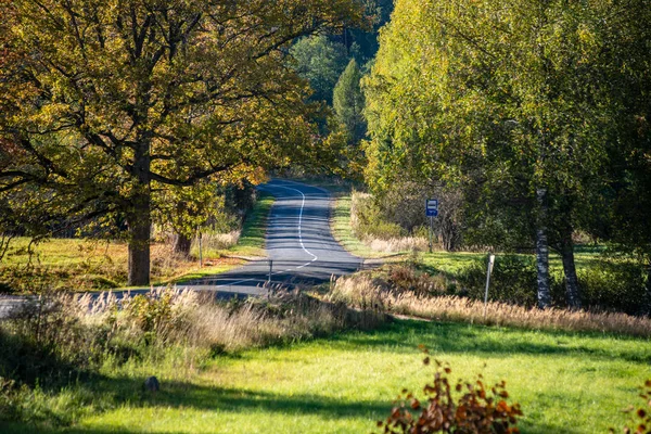 Порожня гравійна дорога восени — стокове фото