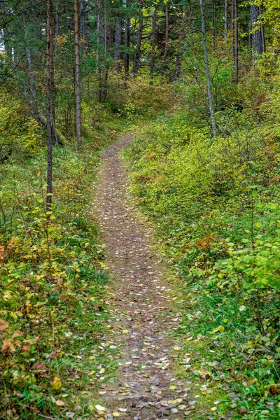 Route de gravier vide en automne — Photo