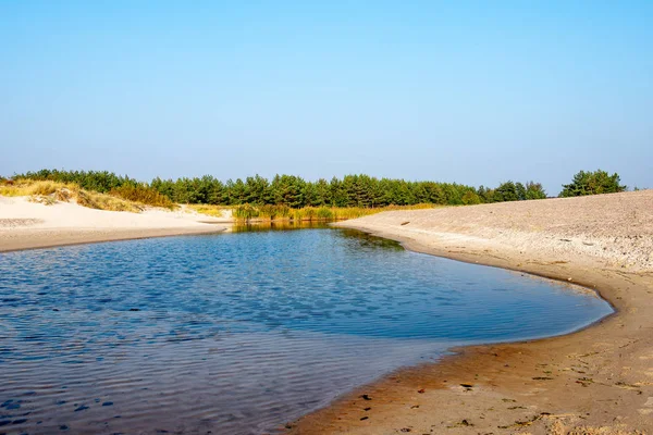 calm sea beach in summer with large rocks and wooden poles from