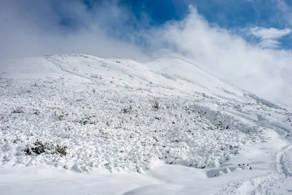 Rutas turísticas cubiertas de nieve en las montañas eslovacas tatra —  Fotos de Stock