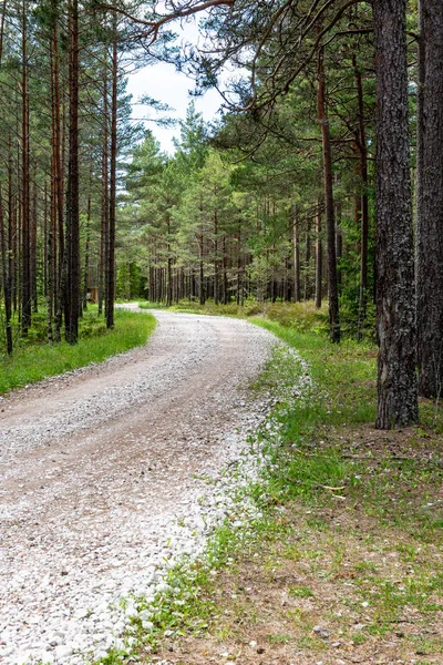 Leere Schotterstraße im Herbst — Stockfoto