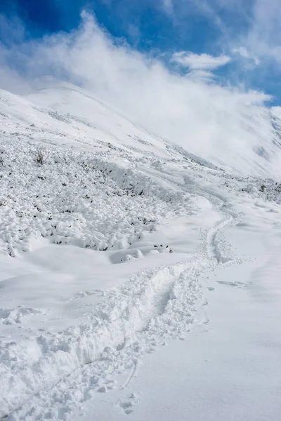 Hóval borított turista útvonalak Szlovákia Tátra hegység — Stock Fotó