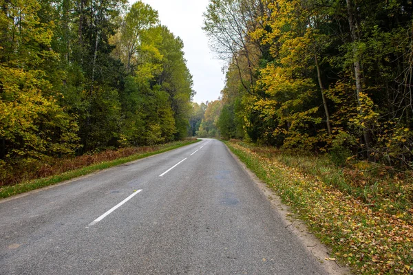 Üres kavicsos út ősszel — Stock Fotó