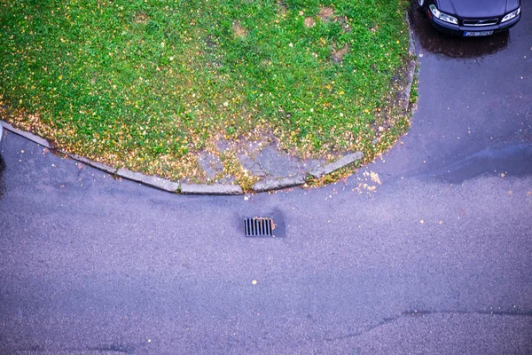 Empty asphalt road in autumn — Stock Photo, Image