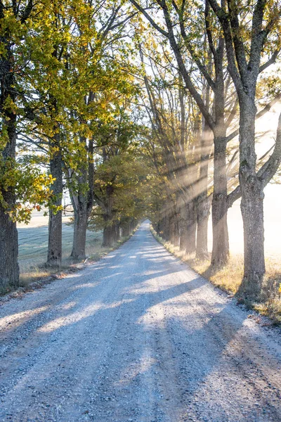 Empty gravel road in autumn — Stock Photo, Image