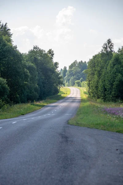 Strada asfaltata vuota in autunno — Foto Stock