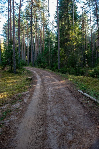 Prázdné štěrková cesta na podzim — Stock fotografie