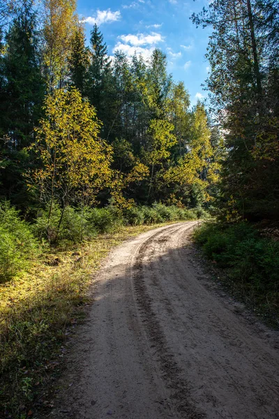 Camino de grava vacío en otoño —  Fotos de Stock