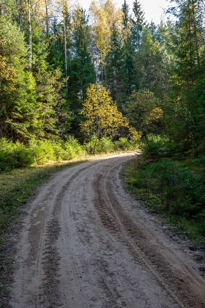 Camino de grava vacío en otoño —  Fotos de Stock