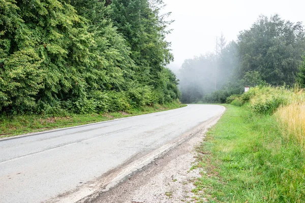 Empty asphalt road in autumn — Stock Photo, Image