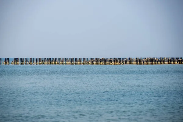 Praia de mar calmo no verão com grandes rochas e postes de madeira de — Fotografia de Stock