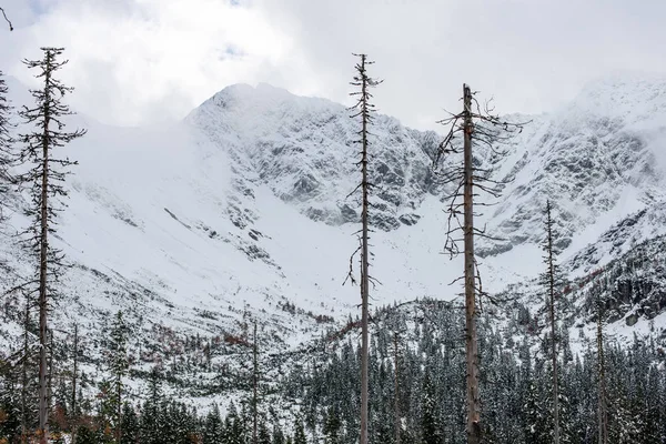 Turistik rotalar Slovakya tatra Dağları'nda kar kaplı — Stok fotoğraf