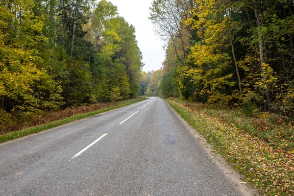 Пустая гравийная дорога осенью — стоковое фото