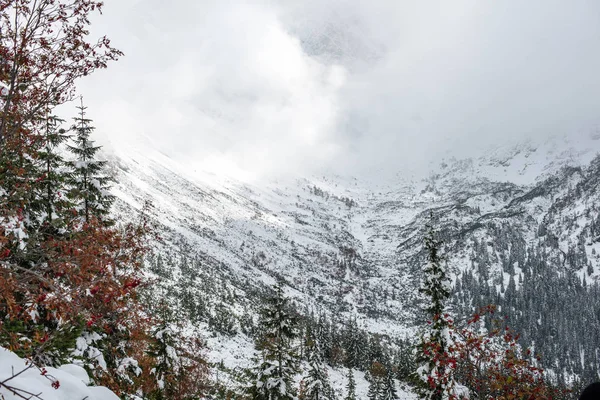 Rutas turísticas cubiertas de nieve en las montañas eslovacas tatra — Foto de Stock