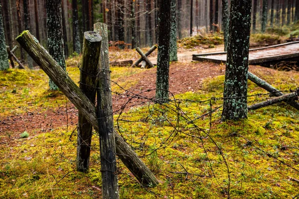 Παλιό ξύλινο φράκτη στο τοπίο πάρκο — Φωτογραφία Αρχείου