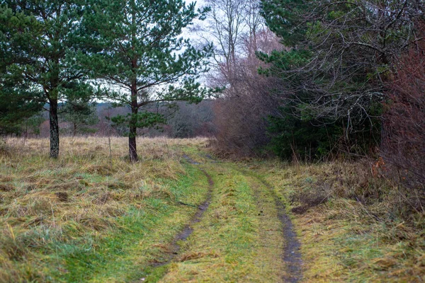 Пустая гравийная дорога осенью — стоковое фото