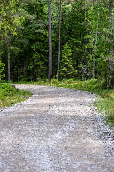 Boş çakıl yol Güz — Stok fotoğraf