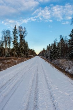Orman woth mavi gökyüzü buz ve kar kaplı karlı kış yolu