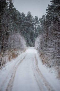 Orman woth mavi gökyüzü buz ve kar kaplı karlı kış yolu