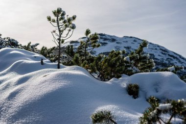 kar kapalı dağ zirveleri ve Slovakya Tatra turist parkurları. kış yürüyüş görünümü