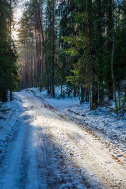 Orman woth mavi gökyüzü buz ve kar kaplı karlı kış yolu