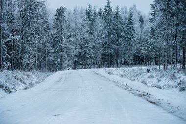 Orman woth mavi gökyüzü buz ve kar kaplı karlı kış yolu
