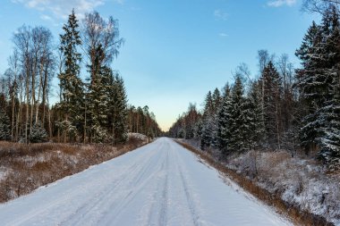 Orman woth mavi gökyüzü buz ve kar kaplı karlı kış yolu
