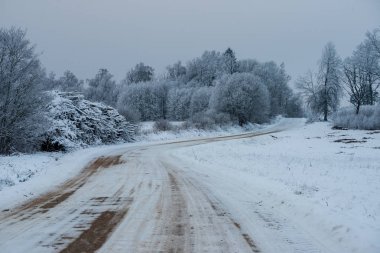 Orman woth mavi gökyüzü buz ve kar kaplı karlı kış yolu
