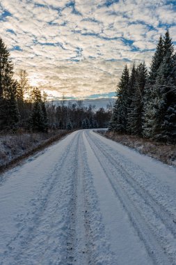Orman woth mavi gökyüzü buz ve kar kaplı karlı kış yolu