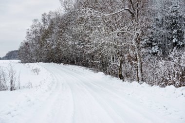 Orman woth mavi gökyüzü buz ve kar kaplı karlı kış yolu