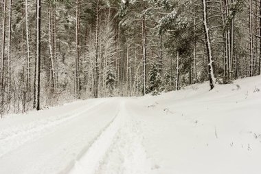 Orman woth mavi gökyüzü buz ve kar kaplı karlı kış yolu