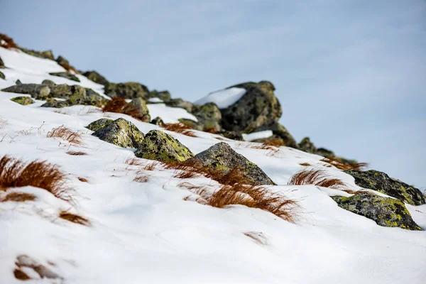 Sommets Enneigés Sentiers Touristiques Slovaquie Tatra Vue Randonnée Hivernale — Photo