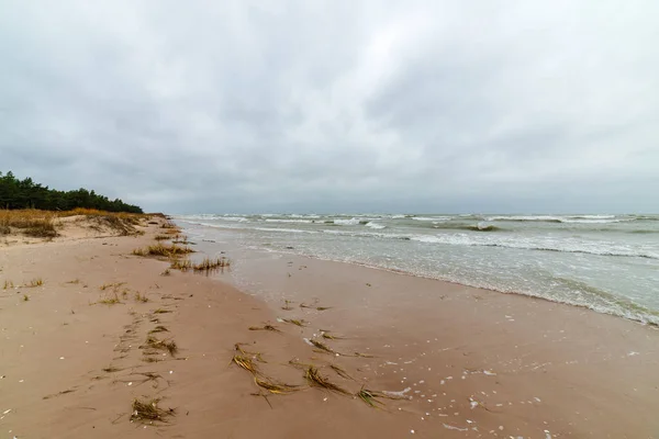 Vihar Időjárás Tengerparton Sziklás Tengeri Parton Lettországban Naplementét Sziklák Magas — Stock Fotó