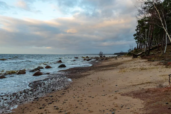 Pogoda Burza Plaży Przez Skalisty Brzeg Morza Łotwie Zachód Słońca — Zdjęcie stockowe