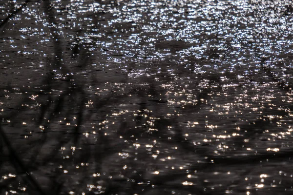 Naked Tree Branches Sunset Colors Calm Shiny Water Reflections — Stock Photo, Image