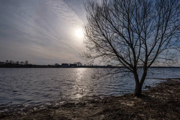 Branches Arbres Nues Dans Les Couleurs Coucher Soleil Contre Les — Photo