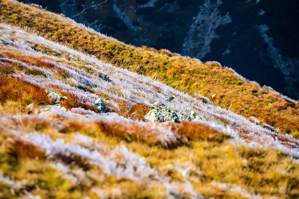 Βραχώδεις Κορυφές Της Σλοβακίας Φθινόπωρο Που Καλύπτονται Παγετό — Φωτογραφία Αρχείου